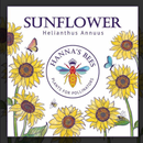 Sunflower Seeds (Hanna's Bees)