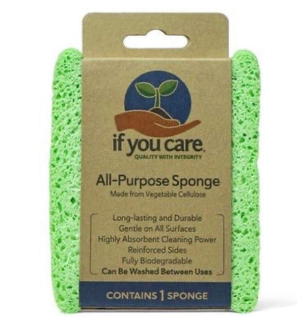 Compostable Sponge from If You Care