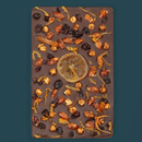 Winter Nights Sharing Slab- Bean and Goose