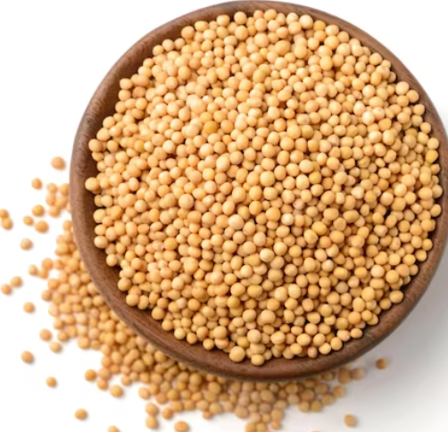 Mustard Seeds (Yellow)