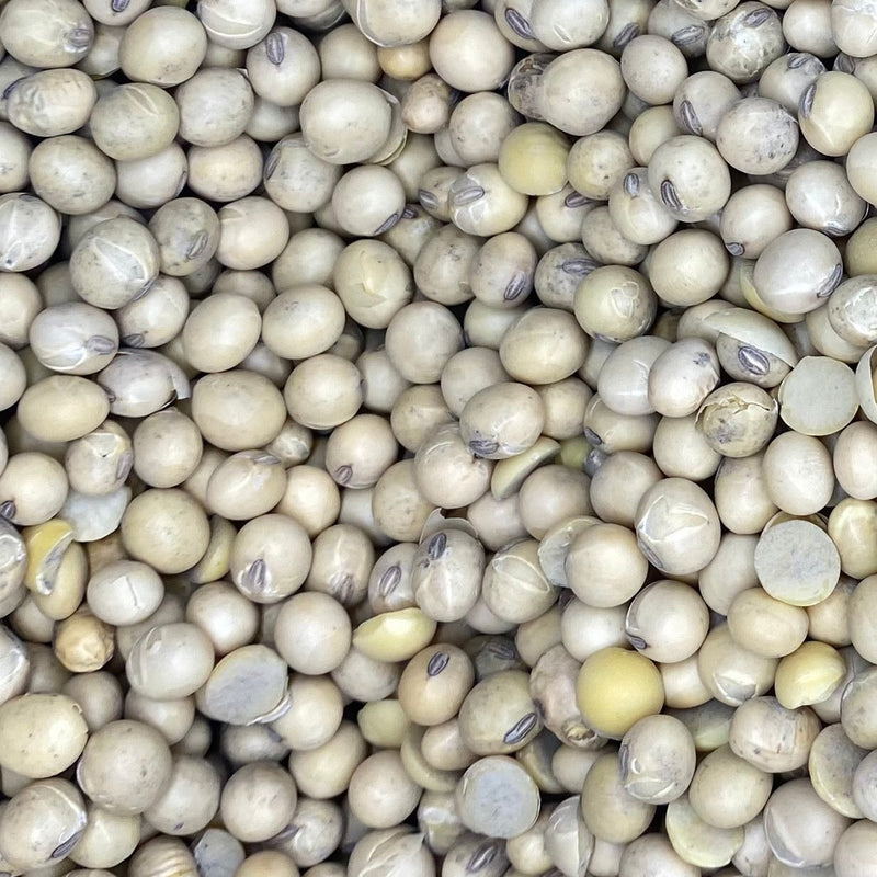Organic bulk soy beans