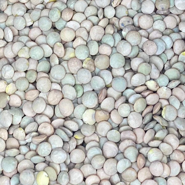 Bulk organic green lentils