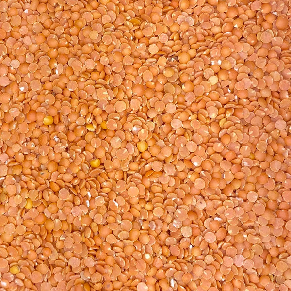 Organic bulk red lentils