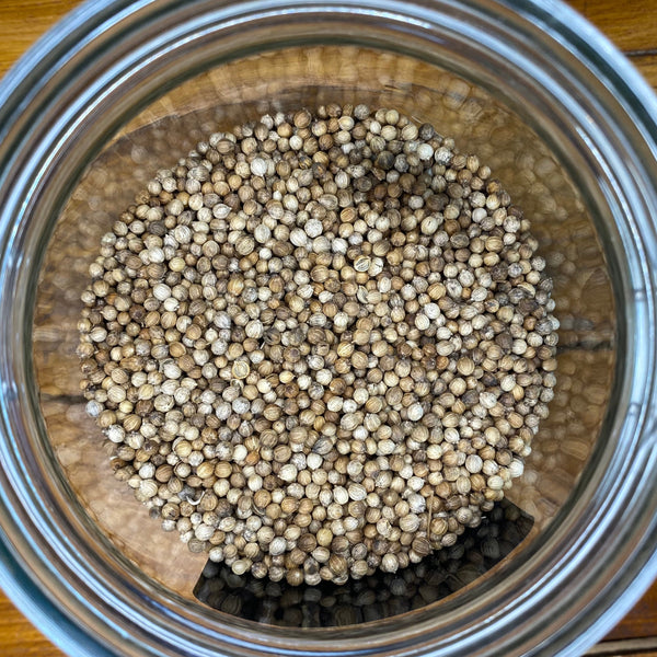 Bulk Coriander Seeds