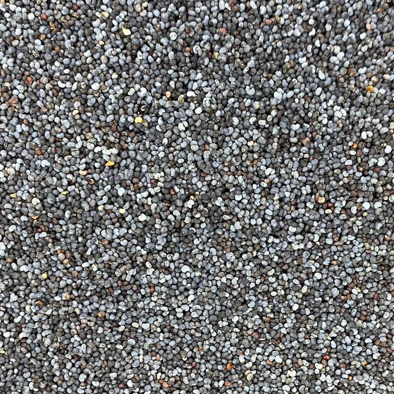 Poppy Seeds