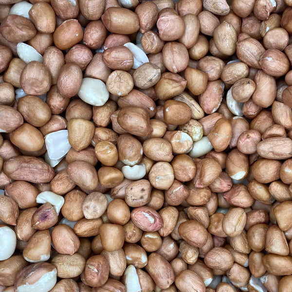 Bulk Organic Red Skin Peanuts